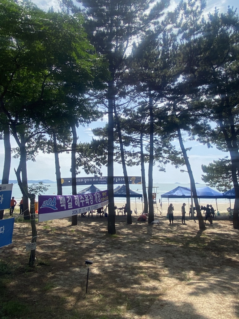 여름 개장 현수막이 걸린 해변 앞 소나무 숲.
