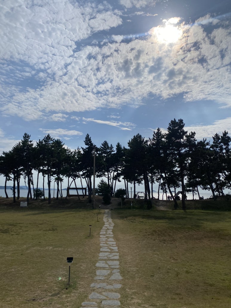 잔디밭 돌길 너머, 소나무 사이로 보이는 바다.