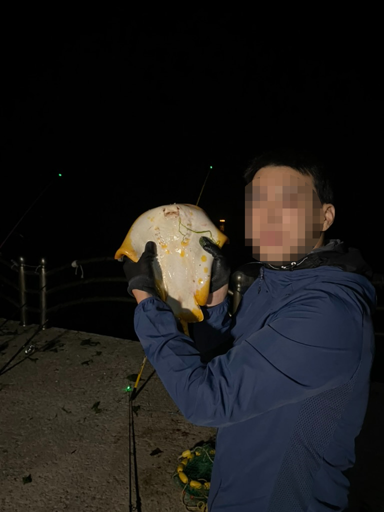 섬에서 낚시하며 잡은 황가오리